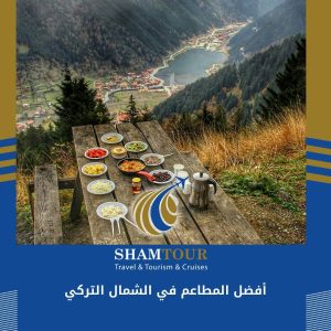 أفضل المطاعم في الشمال التركي