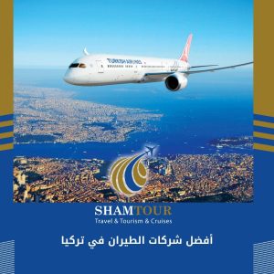 أفضل شركات الطيران في تركيا