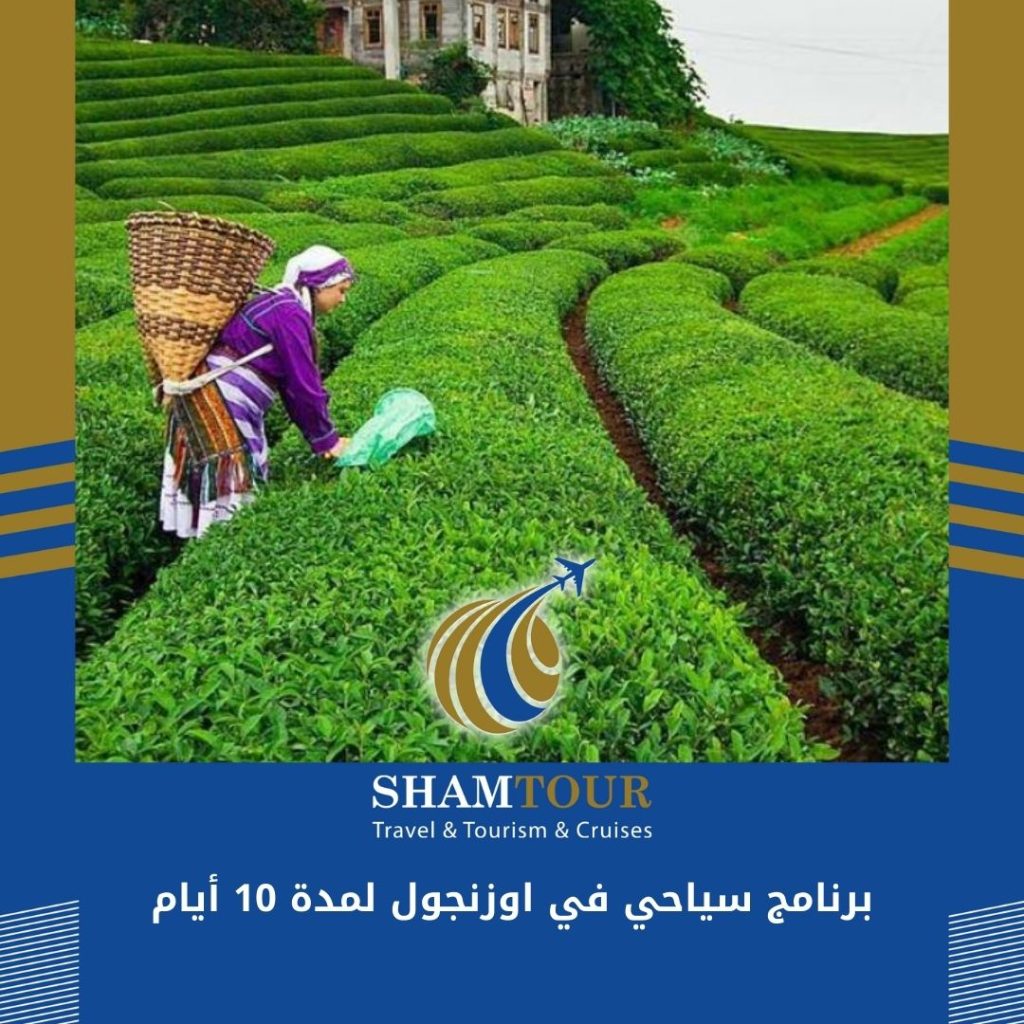 برنامج سياحي في اوزنجول لمدة 10 أيام