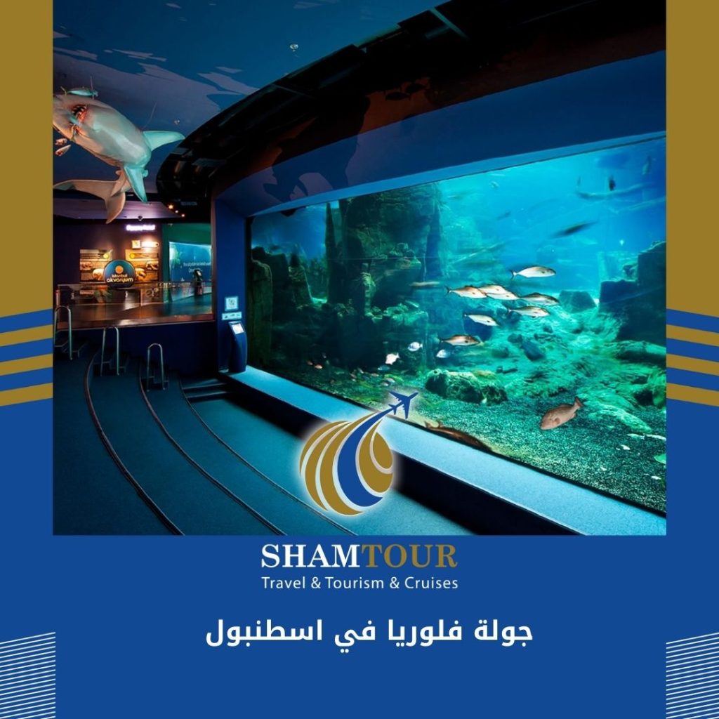 جولة فلوريا في اسطنبول