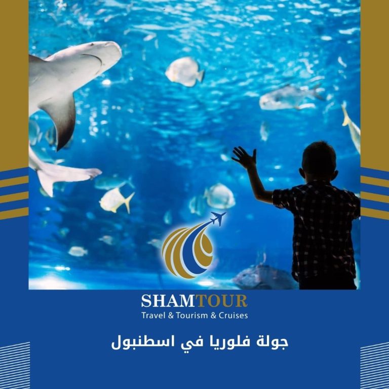 Read more about the article جولة فلوريا في اسطنبول